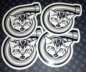 The AI-generated cat pictures thread-img_20150225_132809.jpg