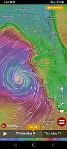 The AI-generated cat pictures thread-screenshot_20241009_164041_windy.jpg