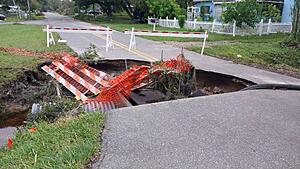 The AI-generated cat pictures thread-20241011_093201.jpg