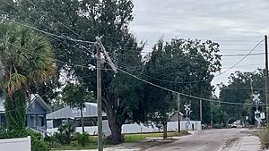 The AI-generated cat pictures thread-20241011_091644.jpg