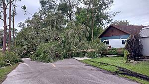 The AI-generated cat pictures thread-20241011_092938.jpg