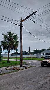 The AI-generated cat pictures thread-20241011_091756.jpg