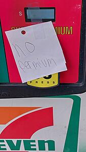 The AI-generated cat pictures thread-20241016_133511.jpg