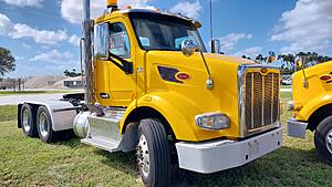 The AI-generated cat pictures thread-20241022_113501.jpg