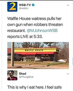 The AI-generated cat pictures thread-1000005627.jpg