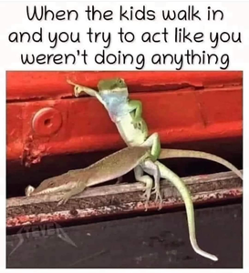 The AI-generated cat pictures thread-image-31-.png