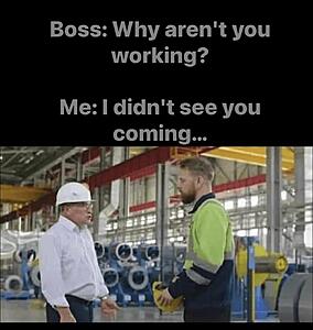 The AI-generated cat pictures thread-substack-aac0ff0f-c9c8-496e-b8fe-fe1b43975f56.jpeg