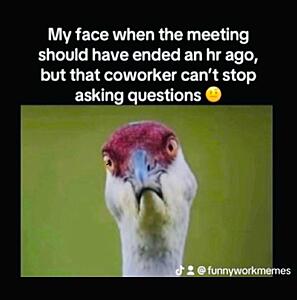 The AI-generated cat pictures thread-substack-4d6ecbfd-6bbd-425e-aebb-556796748546.jpeg