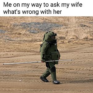 The AI-generated cat pictures thread-substack-451737c8-da91-4064-ba52-0c6157e6b7c4.jpeg