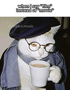 The AI-generated cat pictures thread-substack-de135d33-93c1-40b5-b69c-8c6e02037c3d.jpeg