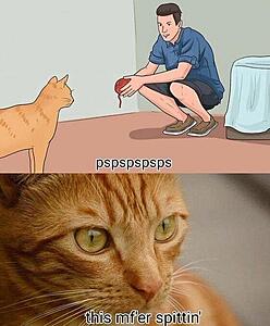 The AI-generated cat pictures thread-substack-f251355c-f0f2-4905-96fc-d3a83a4947c5.jpeg