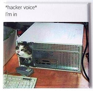 The AI-generated cat pictures thread-substack-6551861b-87e7-450a-9ac9-5b4f90a89144.jpeg