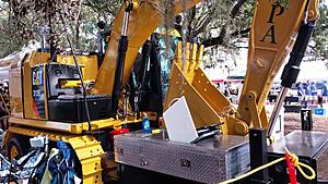 The AI-generated cat pictures thread-20251018_123010.jpg