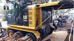 The AI-generated cat pictures thread-20251018_122940.jpg