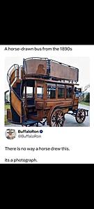 The AI-generated cat pictures thread-screenshot_20251021_152903_gallery.jpg