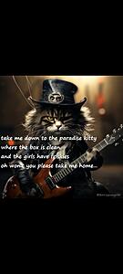 The AI-generated cat pictures thread-screenshot_20251026_081959_substack.jpg