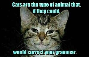 The AI-generated cat pictures thread-substack-b29c3ab7-a48e-49c3-b9ac-1d82038117a7.jpeg