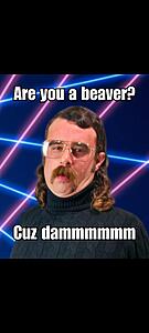 The AI-generated cat pictures thread-screenshot_20251211_191043_gallery.jpg