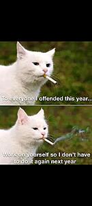 The AI-generated cat pictures thread-screenshot_20251229_123138_gallery.jpg