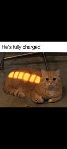 The AI-generated cat pictures thread-screenshot_20251230_075600_substack.jpg