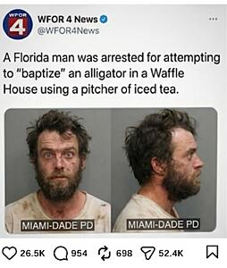 The AI-generated cat pictures thread-screenshot_20260218_171326_messages.jpg