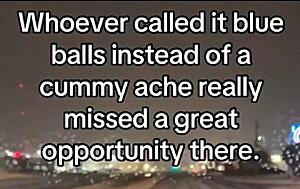 The AI-generated cat pictures thread-screenshot_20260302_175805_substack.jpg