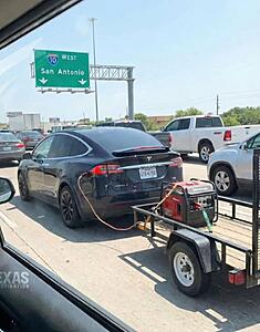 The AI-generated cat pictures thread-screenshot_20260301_093023_substack.jpg