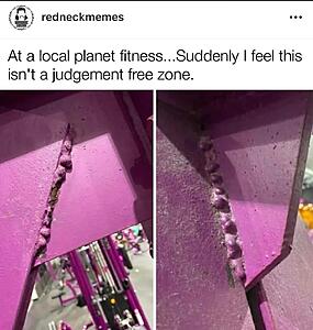 The AI-generated cat pictures thread-screenshot_20260309_113703_substack.jpg