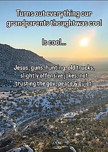 The AI-generated cat pictures thread-screenshot_20260309_114004_substack.jpg