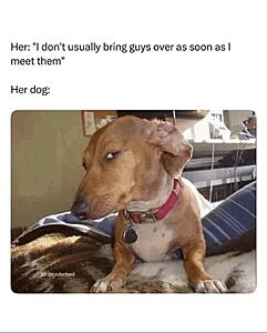 The AI-generated cat pictures thread-screenshot_20260401_061302_substack.jpg