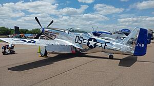 The AI-generated cat pictures thread-20260414_130154.jpg