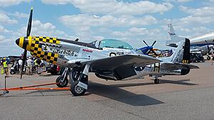 The AI-generated cat pictures thread-20260414_143104.jpg