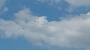 The AI-generated cat pictures thread-20260414_142351.jpg