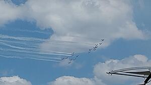 The AI-generated cat pictures thread-20260414_142005.jpg