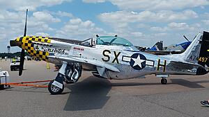 The AI-generated cat pictures thread-20260414_143107.jpg