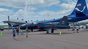 The AI-generated cat pictures thread-20260414_130858.jpg