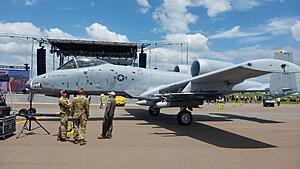 The AI-generated cat pictures thread-20260414_130530.jpg