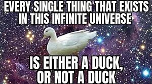 The AI-generated cat pictures thread-screenshot_20260421_062602_substack.jpg