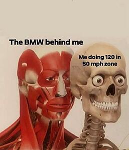 The AI-generated cat pictures thread-screenshot_20260420_171654_substack.jpg