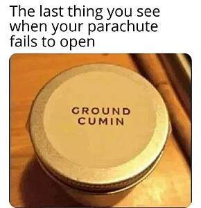 The AI-generated cat pictures thread-screenshot_20260421_062149_substack.jpg