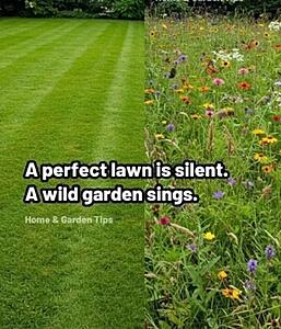 The AI-generated cat pictures thread-screenshot_20260421_061812_substack.jpg