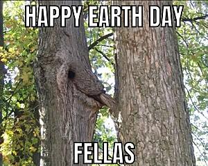 The AI-generated cat pictures thread-screenshot_20260423_053740_substack.jpg