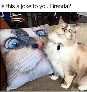 The AI-generated cat pictures thread-screenshot_20260423_063245_substack.jpg