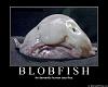 Ugly ass Platy-fish-blobfish.jpg