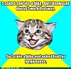 The AI-generated cat pictures thread-memes_ask_god_happy_kitten_meme-s500x490-186271.jpg