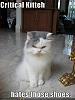 The AI-generated cat pictures thread-funny-pictures-critical-cat-hates-your-shoes.jpg