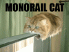 The AI-generated cat pictures thread-monorail_cat_zoom.gif