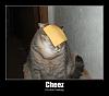 The AI-generated cat pictures thread-cheez_doing_it_wrong.jpg