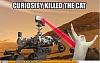 The AI-generated cat pictures thread-damn-you-mars-rover.-damn-you-mars-rover_ebb886_4045557.jpg