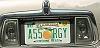 Stupid License Plate Ideas???-assorgy.jpg